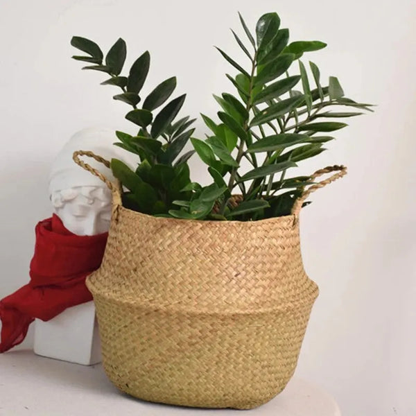 Basket Plant Flower Pot