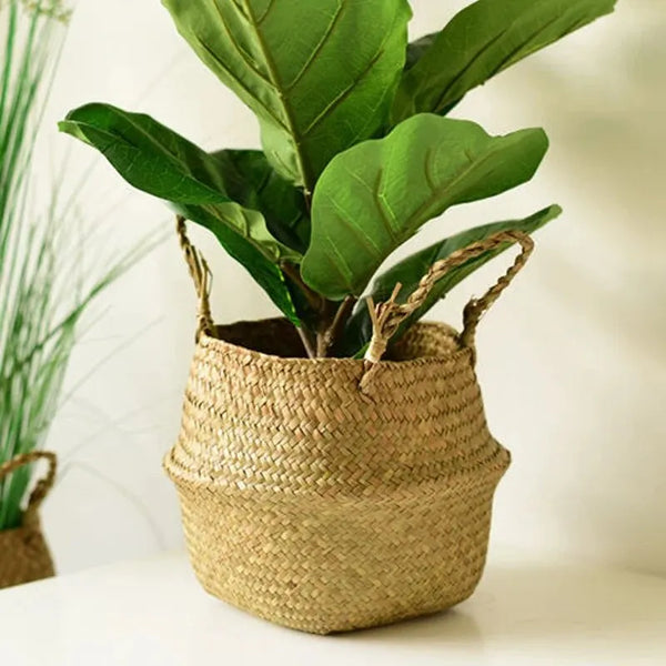 Basket Plant Flower Pot