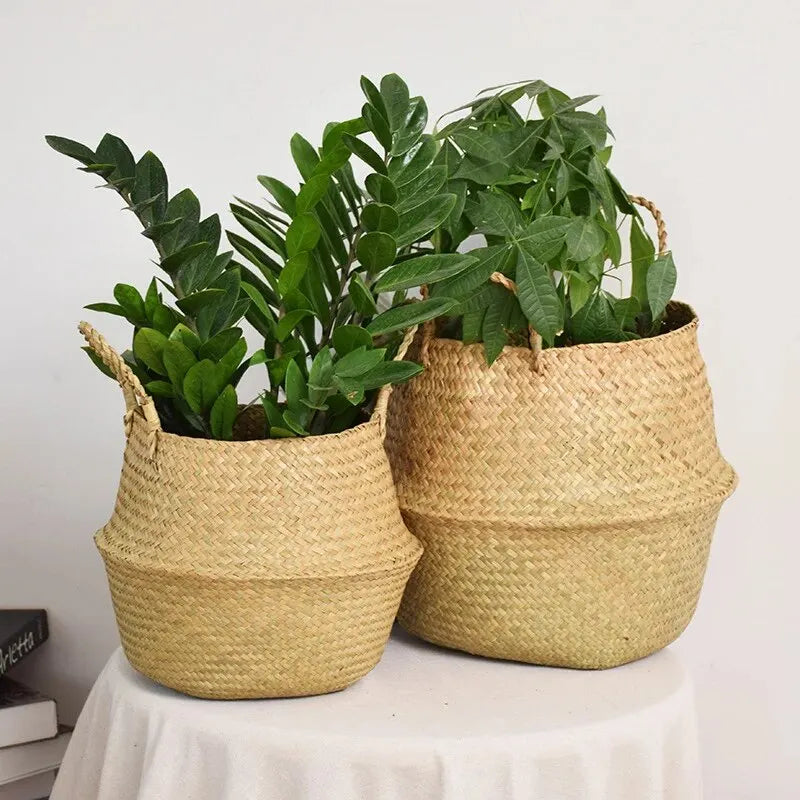 Basket Plant Flower Pot